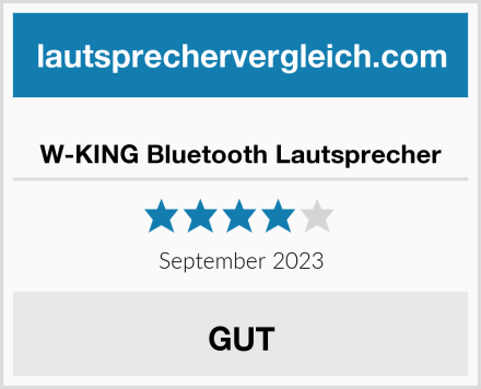  W-KING Bluetooth Lautsprecher Test