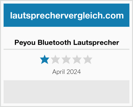  Peyou Bluetooth Lautsprecher Test