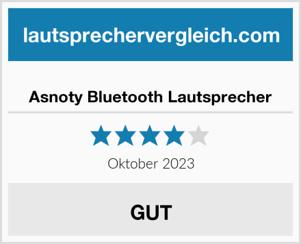  Asnoty Bluetooth Lautsprecher Test