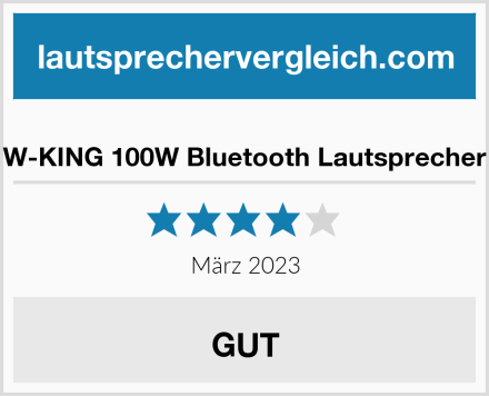  W-KING 100W Bluetooth Lautsprecher Test
