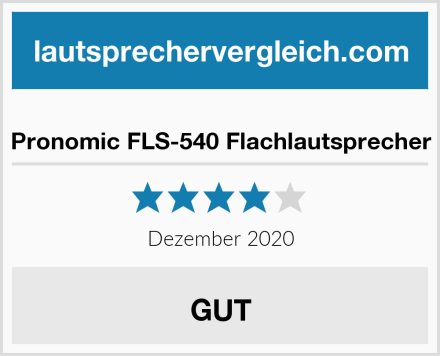  Pronomic FLS-540 Flachlautsprecher Test
