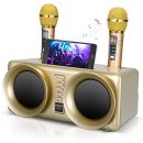 &nbsp; GJCraft Bluetooth Karaoke-Lautsprecher