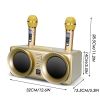  GJCraft Bluetooth Karaoke-Lautsprecher